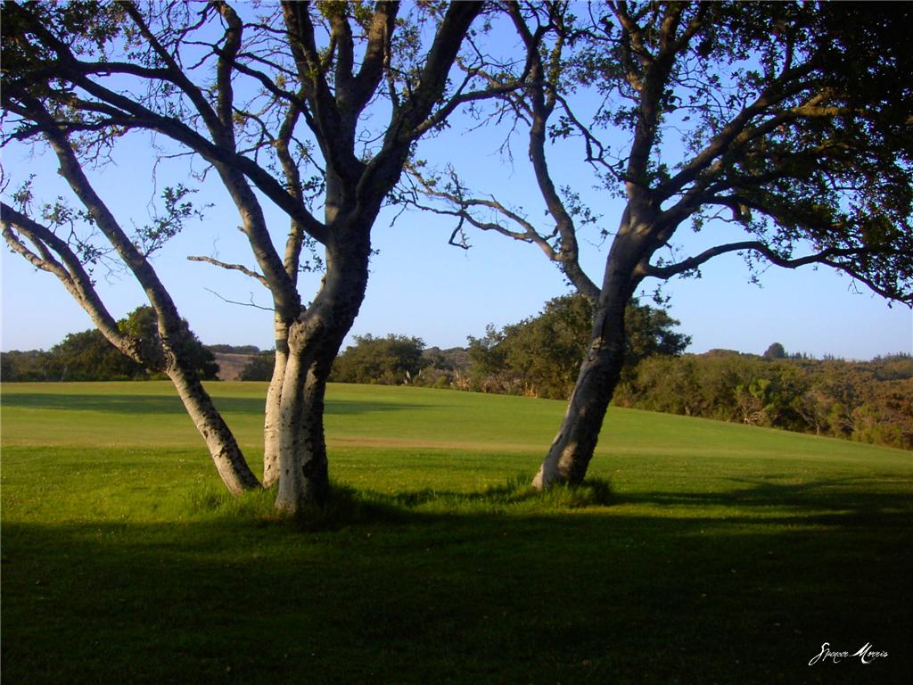 Background image for the property website design