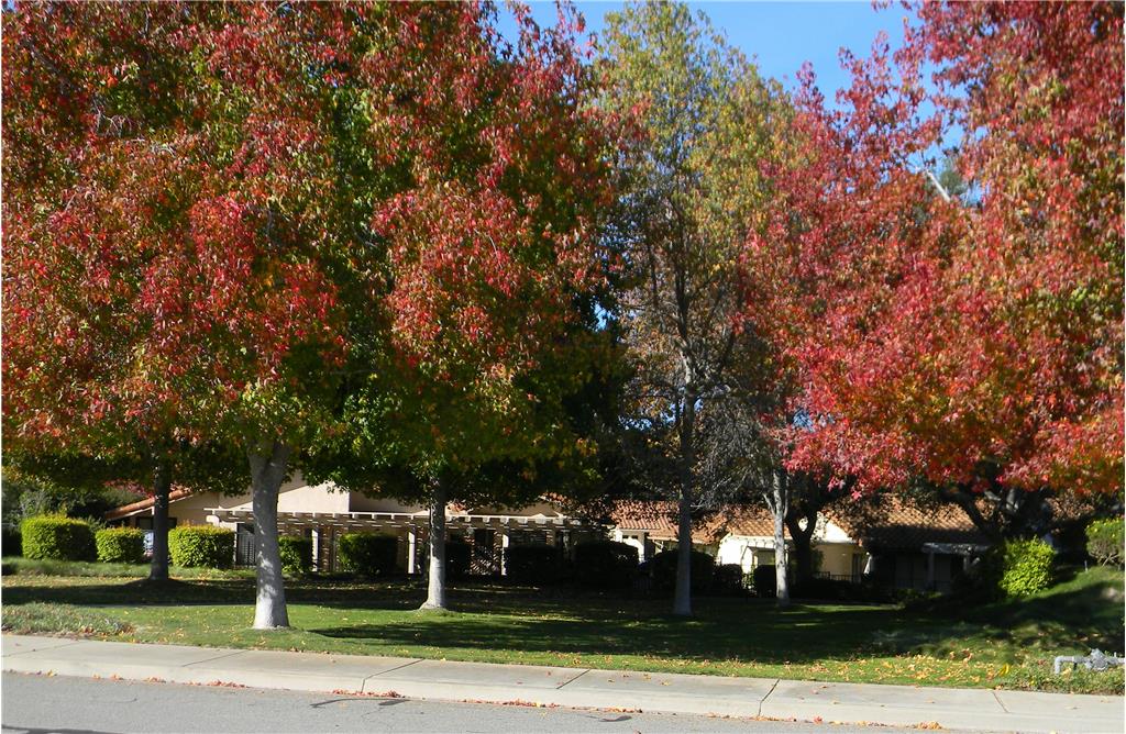 Background image for the property website design