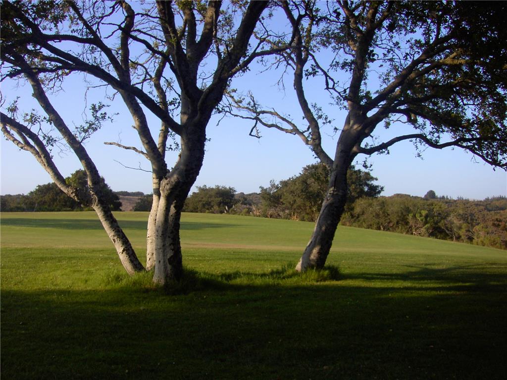 Background image for the property website design