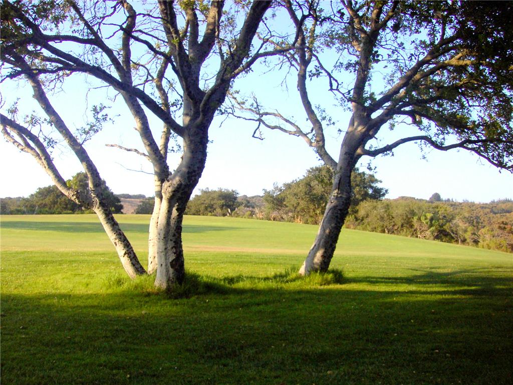Background image for the property website design
