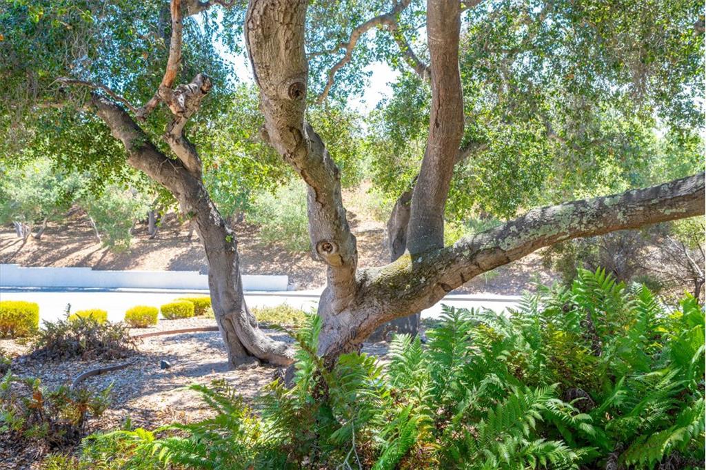 Background image for the property website design