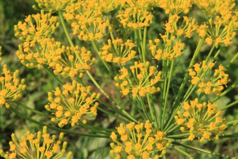 Background image for the property website design