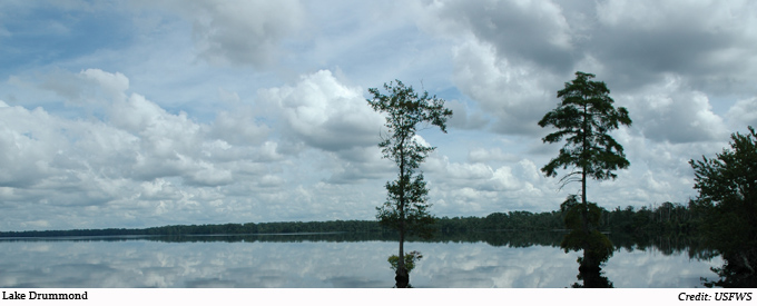 Background image for the property website design