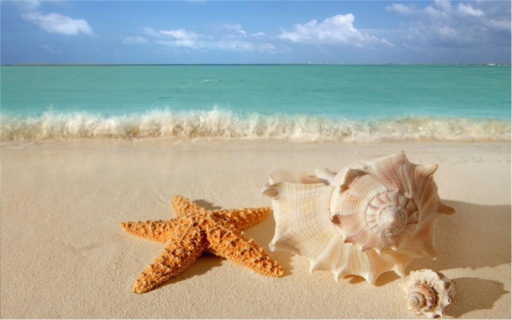 Background image for the property website design