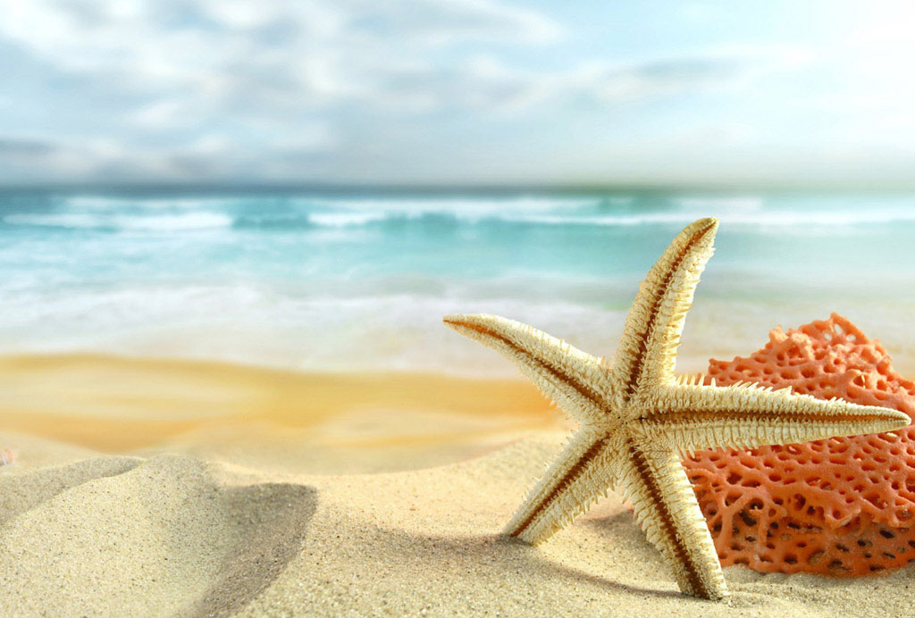 Background image for the property website design