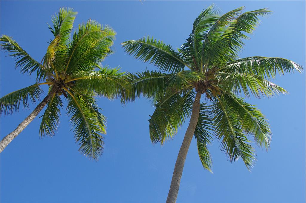 Background image for the property website design