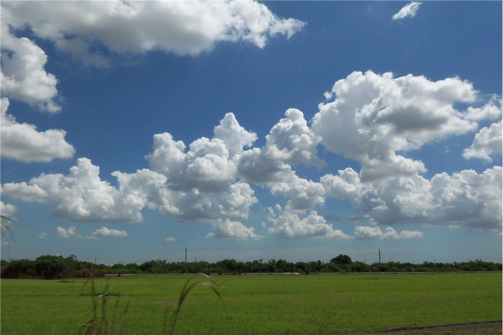 1200 Marguerite Road, Lake Placid, FL 33852 By Janie Marie Coffey