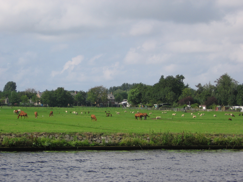 Background image for the property website design