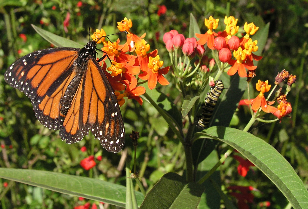 Background image for the property website design