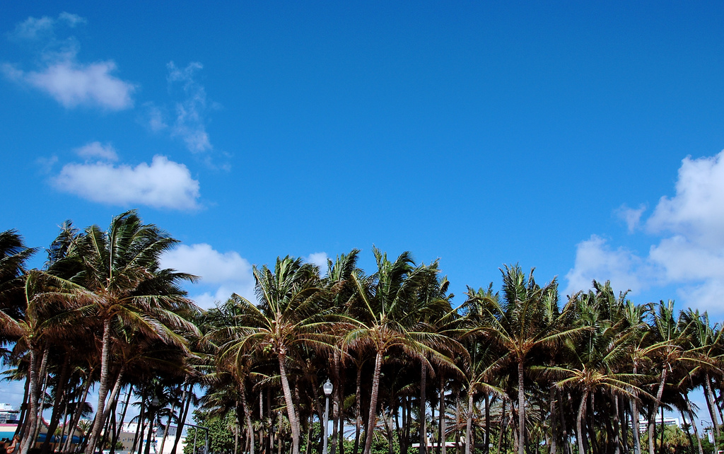 Background image for the property website design