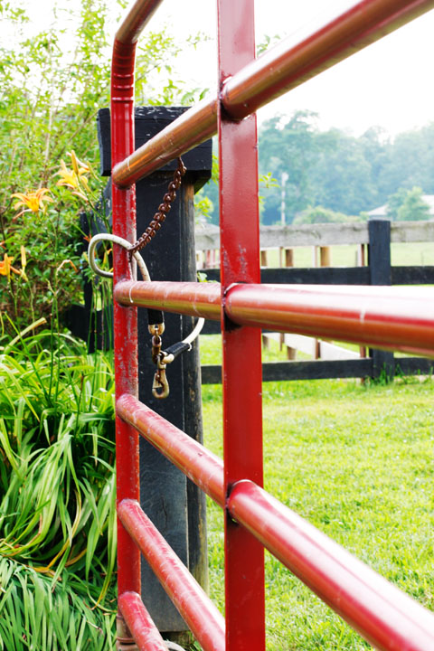 Background image for the property website design