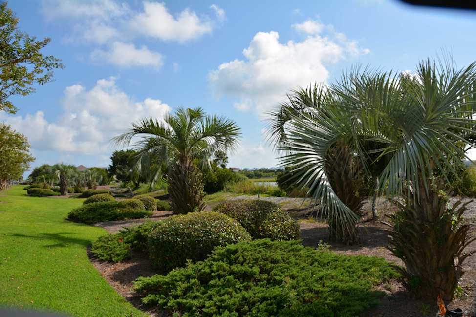 Background image for the property website design