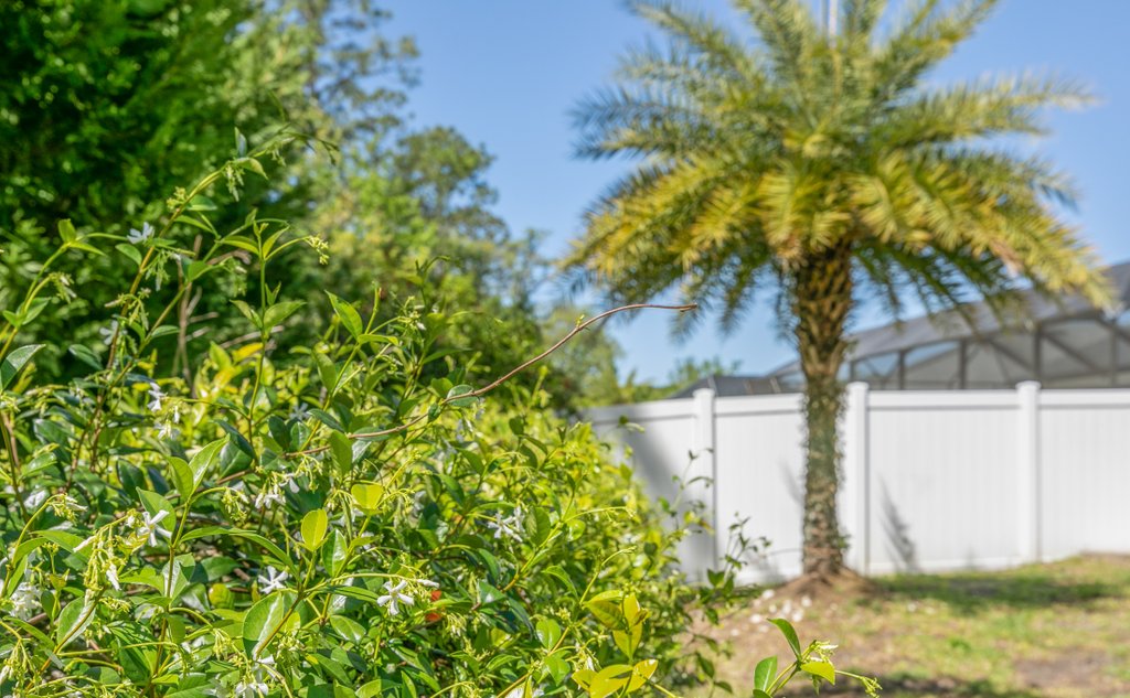 Background image for the property website design