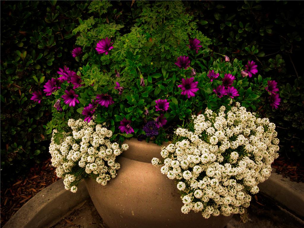 Background image for the property website design