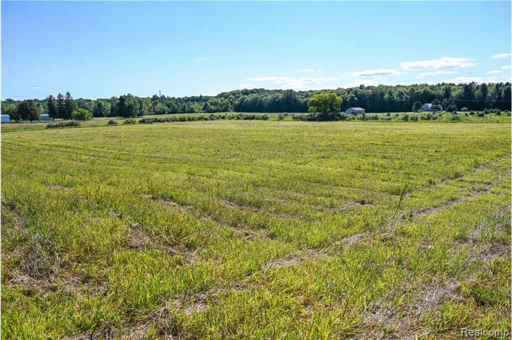 Background image for the property website design