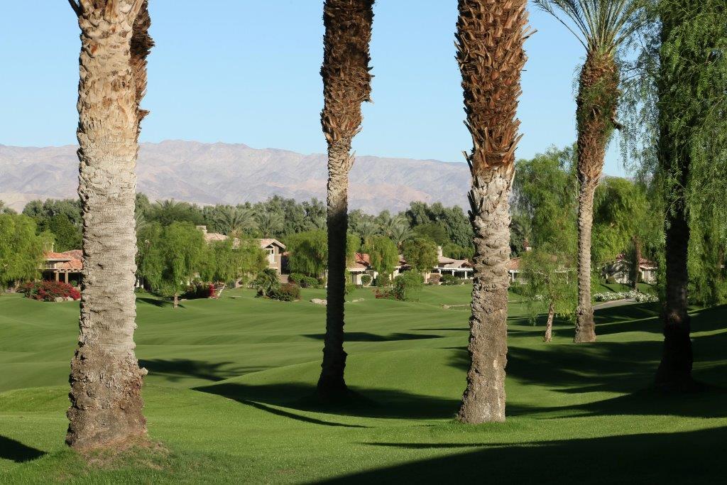 Background image for the property website design