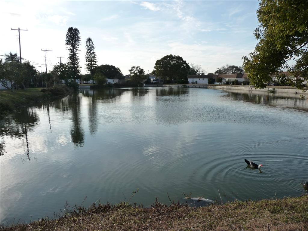 Background image for the property website design