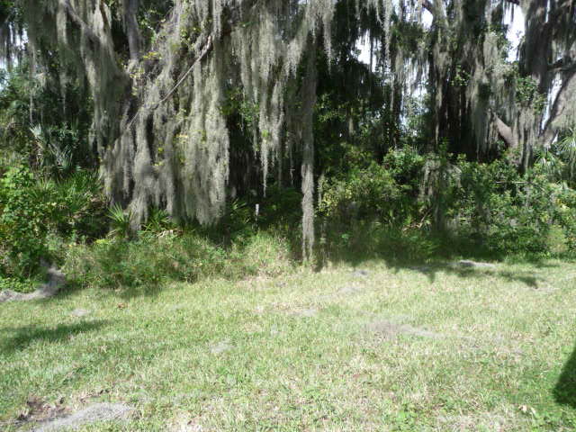 Background image for the property website design