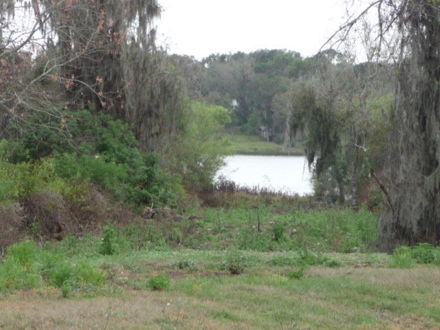 Background image for the property website design