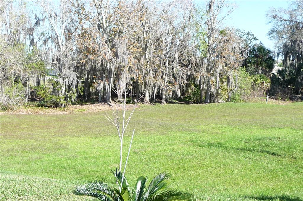 Background image for the property website design