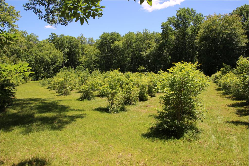Background image for the property website design