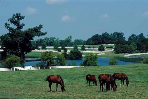 Background image for the property website design