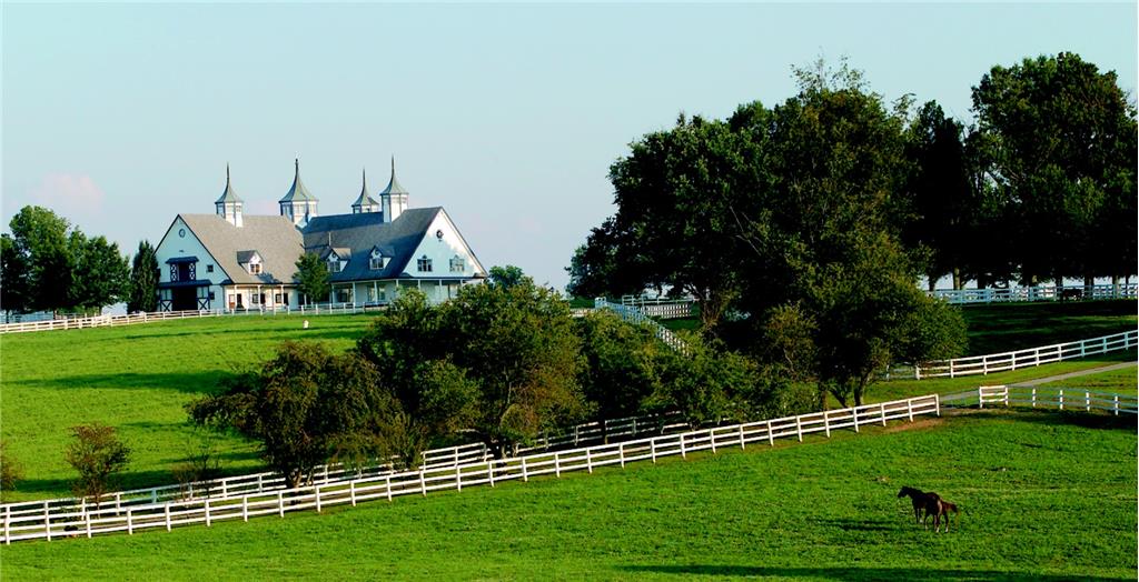 Background image for the property website design