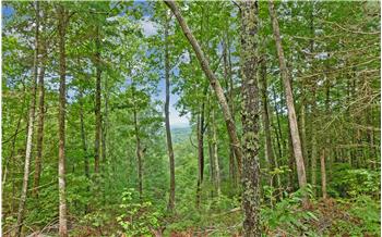 Primary listing photos for listing ID 548435