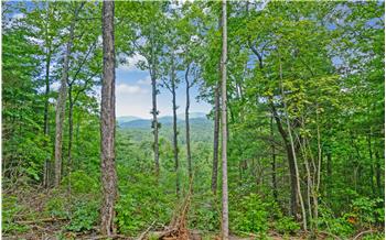 Primary listing photos for listing ID 548437