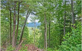 Primary listing photos for listing ID 548443