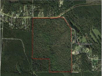 Primary listing photos for listing ID 523724