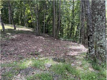 Lot 111, Trillium Ln, Caldwell, WV