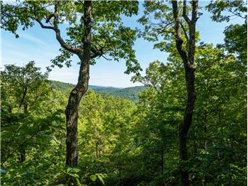 Lot 25 Panther Mountain Road #CVN-CVN-025, Zirconia, NC