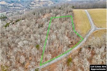 Lot 306 Sapphire Ct, New Tazewell, TN