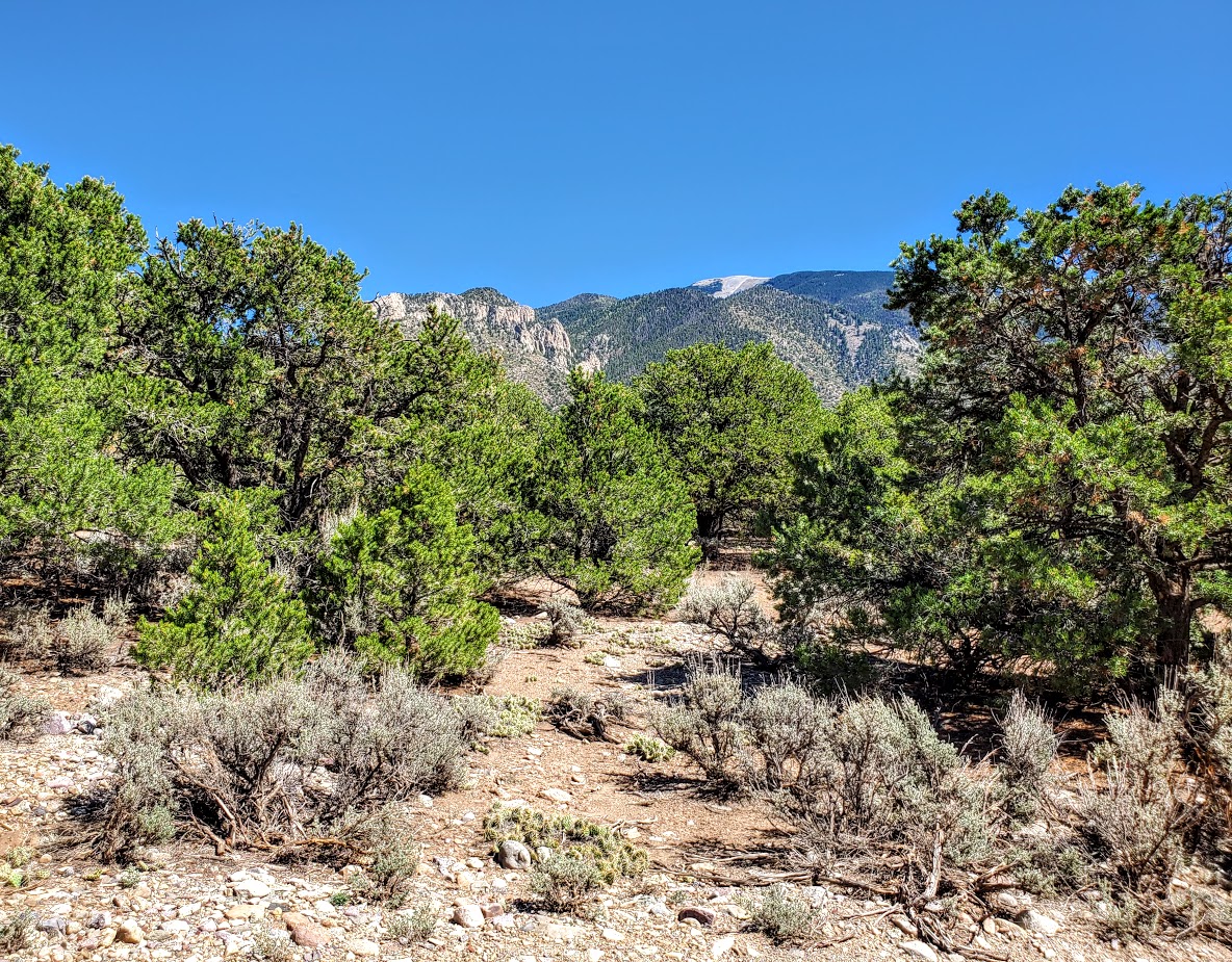 Lot B5b Quintana Road, Questa, NM 87556 MLS 105695 By Marika Choma