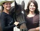 TNHORSEFARMS 4SALE