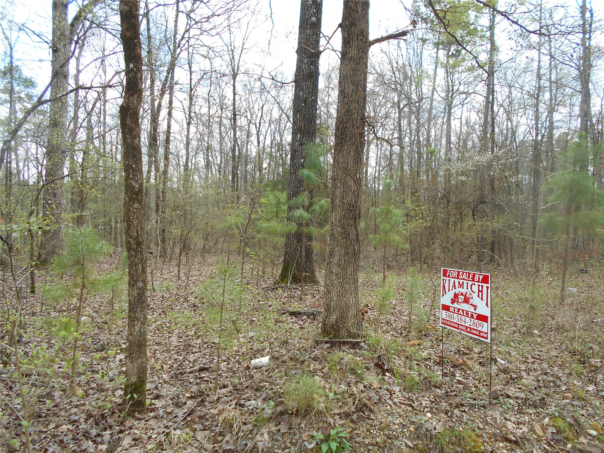 Property pictures of N Highway 259, Broken Bow, OK 74728, USA Broken