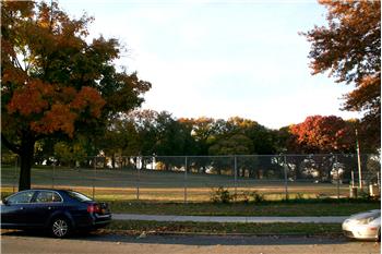 Primary listing photos for listing ID 526162