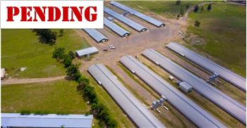 Primary listing photos for listing ID 625338