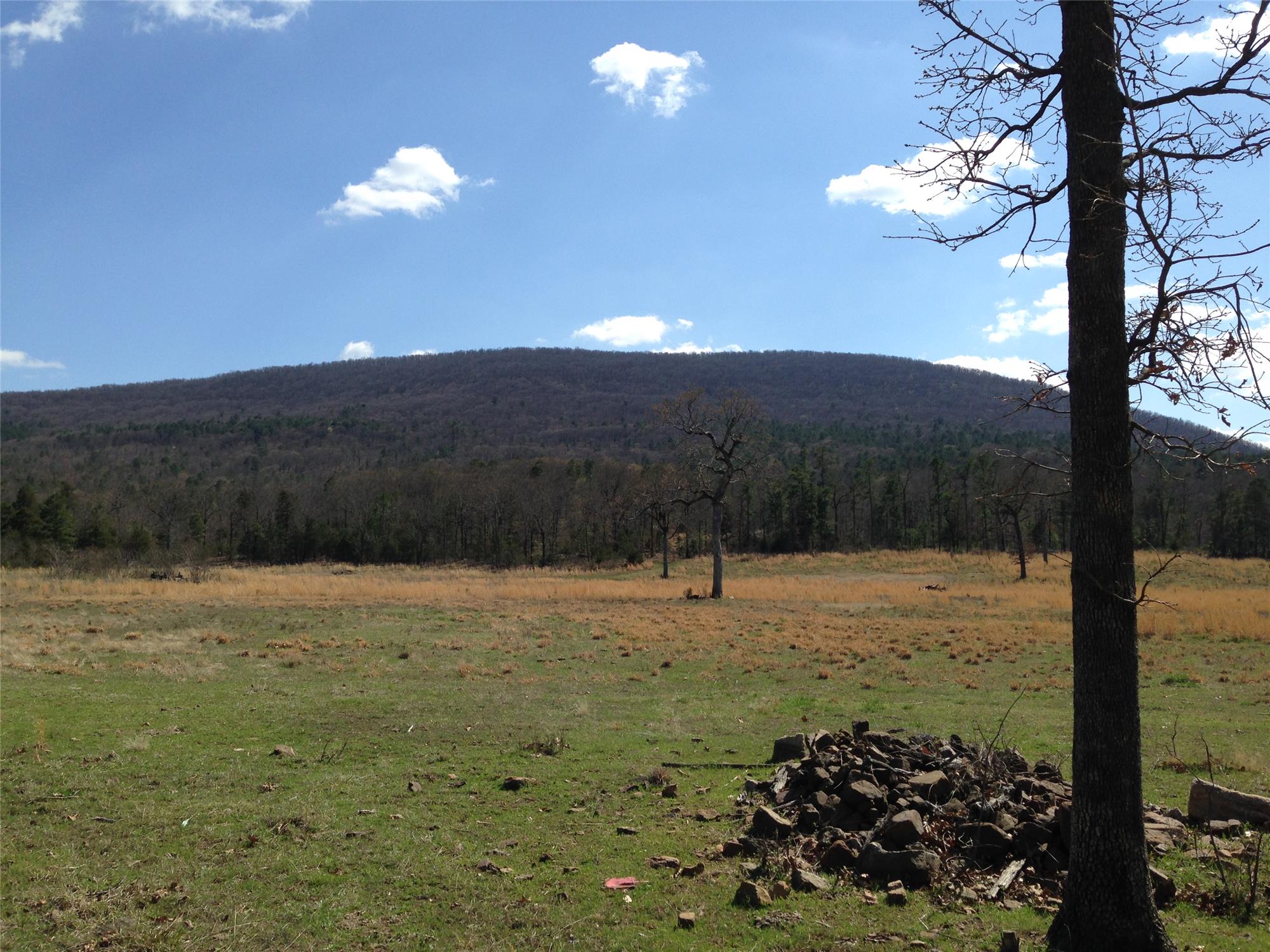 Lori HulaLay and Frank Lay Featured Real Estate Listings Fort