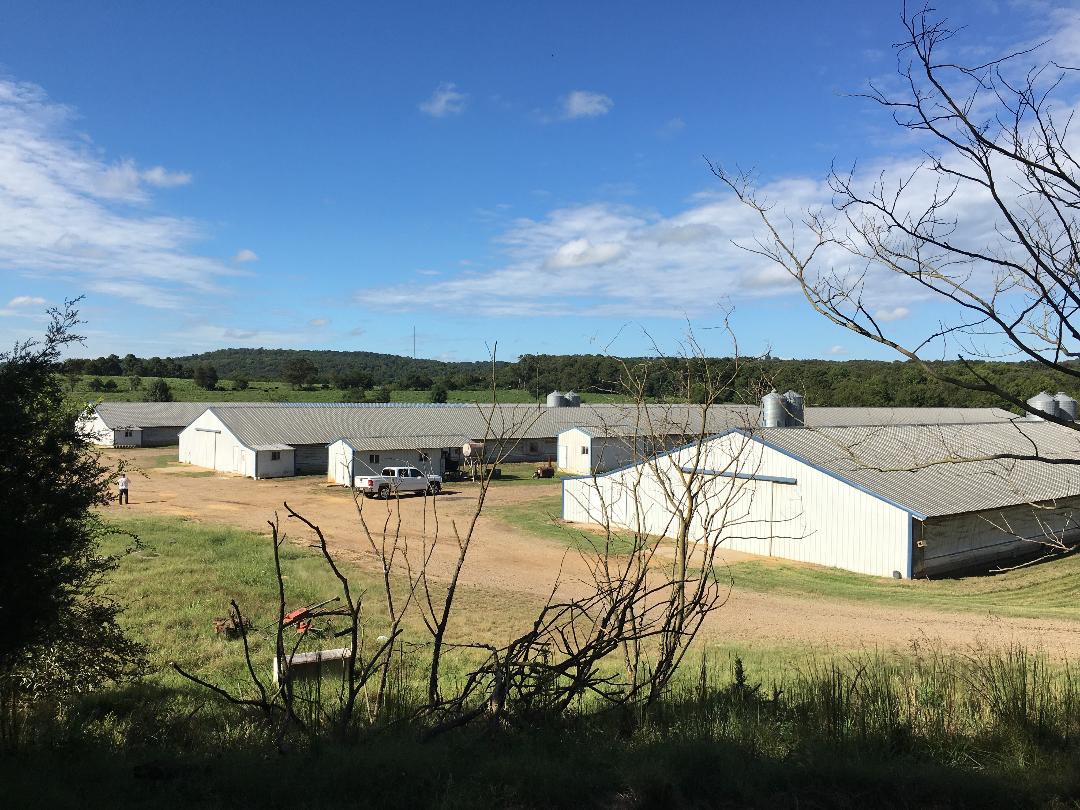 Rural Route, Altus, AR 72821 By Lori HulaLay and Frank Lay (Listed by