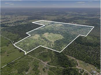 TBD 207 Acres Anchor Ranch Loop, Flatonia, TX