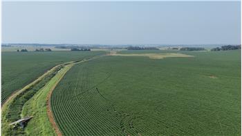 TBD County 61, Browerville, MN