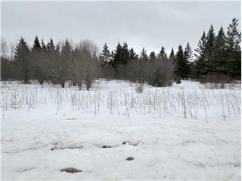 TBD County Road 31, Northome, MN