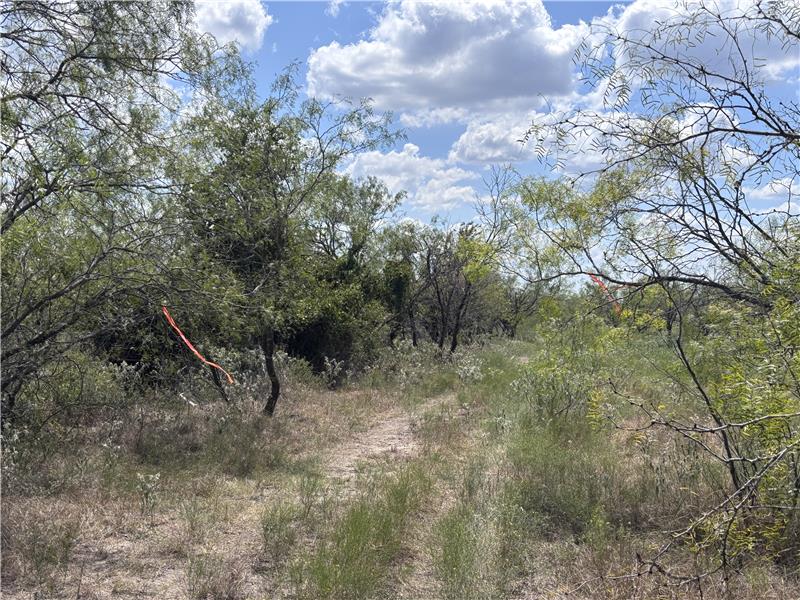 Approx. boundary line marked on easement