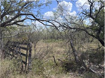 TBD 10+/- acres off  413 Thorndale TX