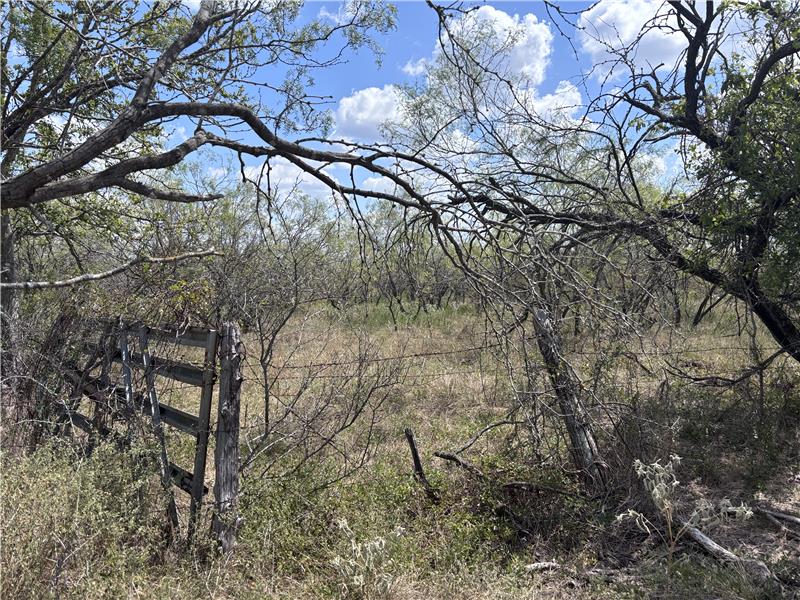 TBD 10+/- acres off  413 Thorndale TX