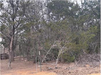TBD Pearson Road, Cedar Creek, TX