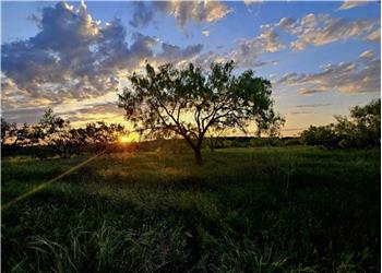 Beautiful Texas Sunsets