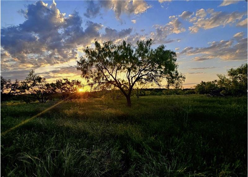 Beautiful Texas Sunsets
